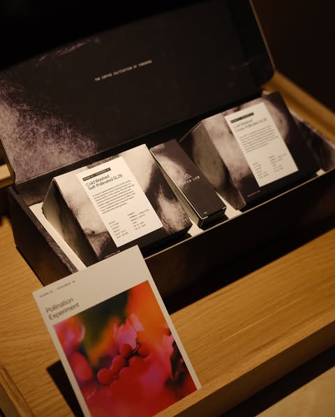 Pollination Experiment Tasting Set