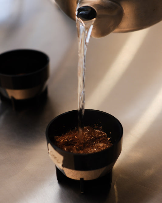 Special Cupping Session - Competition Lots vs. Co-Ferment - ft. MAME