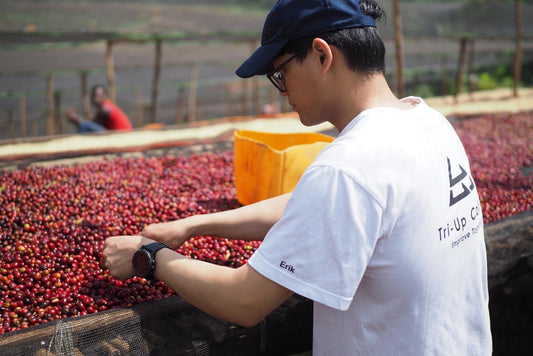 Cupping "Sky Project" Coffees