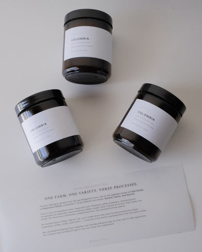 CGLE Geisha Gift Set - Processing Trio