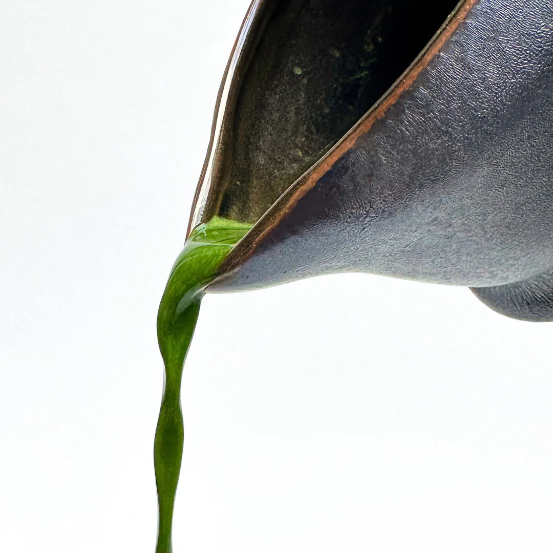 Sanko Obsidian Matcha Bowl